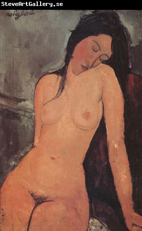 Amedeo Modigliani Nude (nn03)